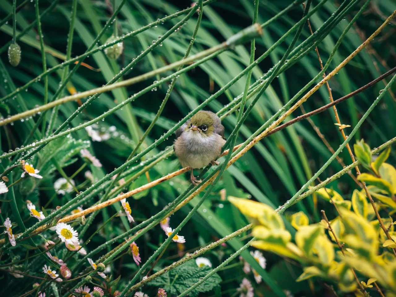 Stewart Island - Southland, New Zealand - Credit Liz Carlson (99)