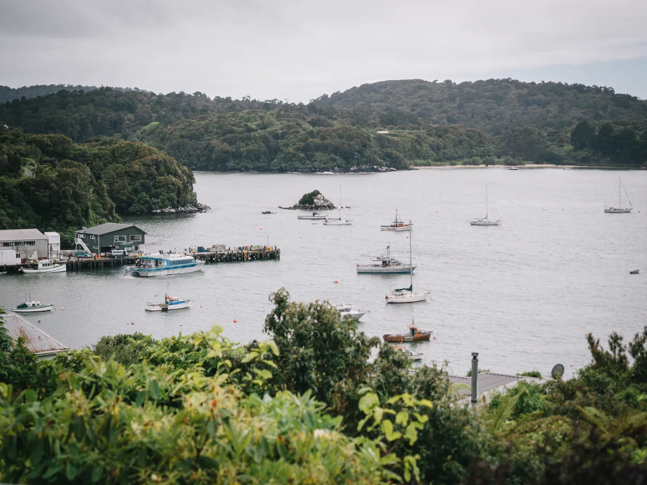 Stewart Island - Southland, New Zealand - Credit Liz Carlson (98)