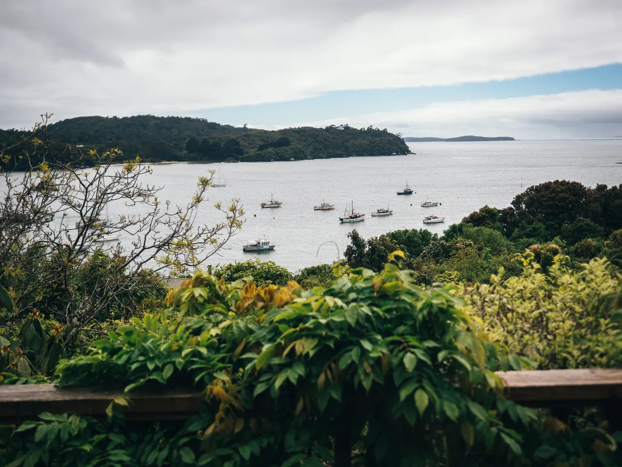 Stewart Island - Southland, New Zealand - Credit Liz Carlson (97)