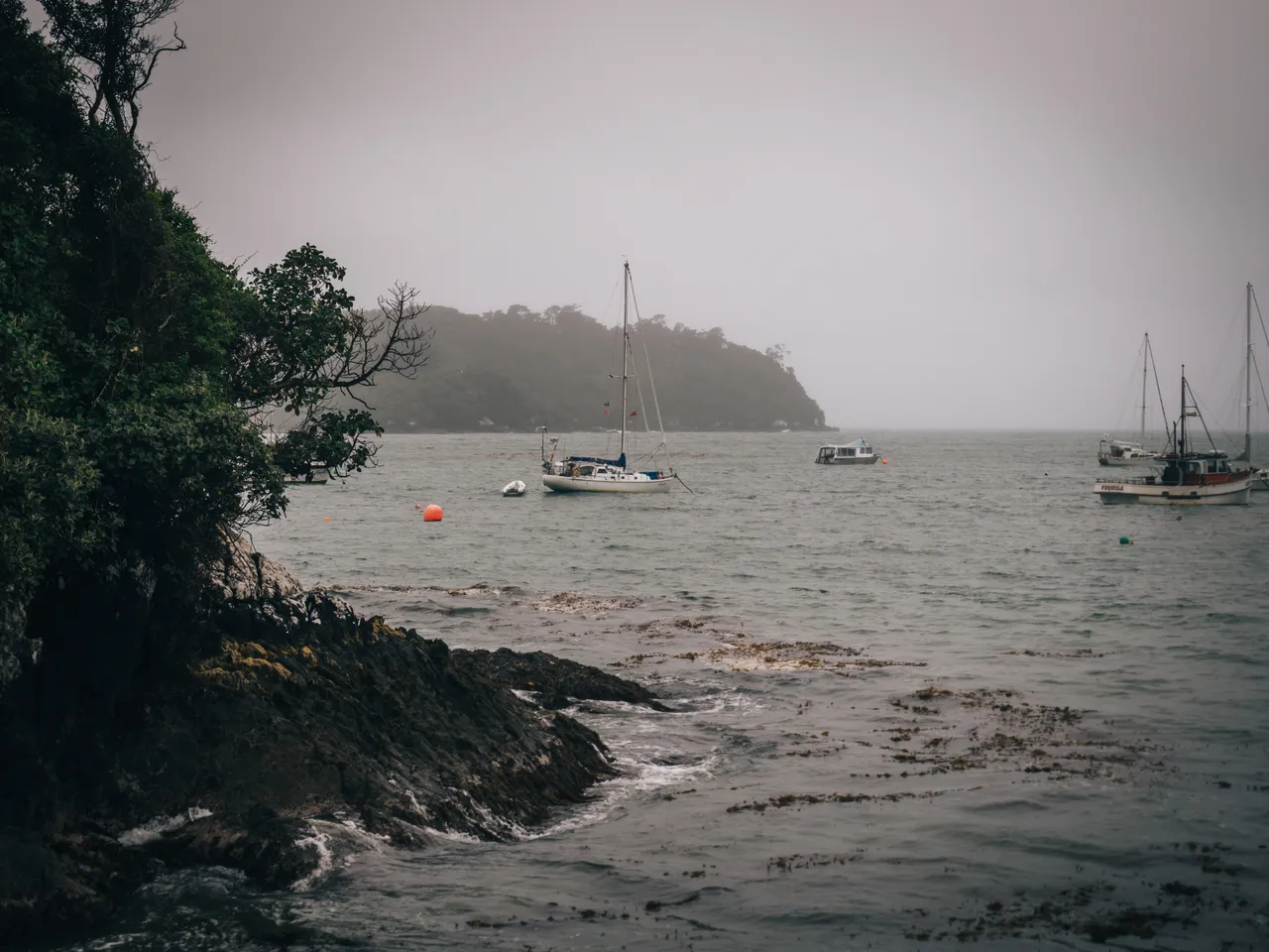 Stewart Island - Southland, New Zealand - Credit Liz Carlson (85)