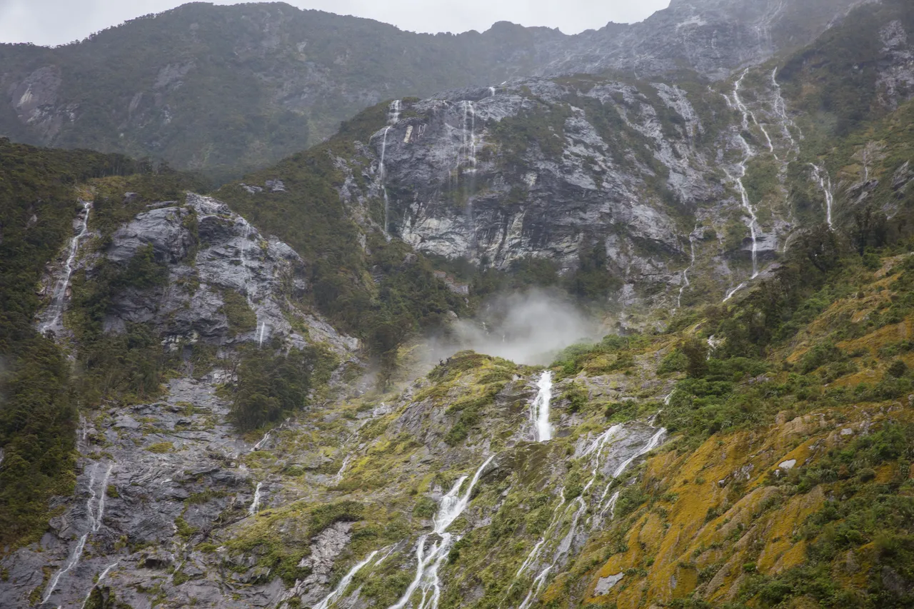 Milford Road - Southland, New Zealand - Credit Liz Carlson (17)