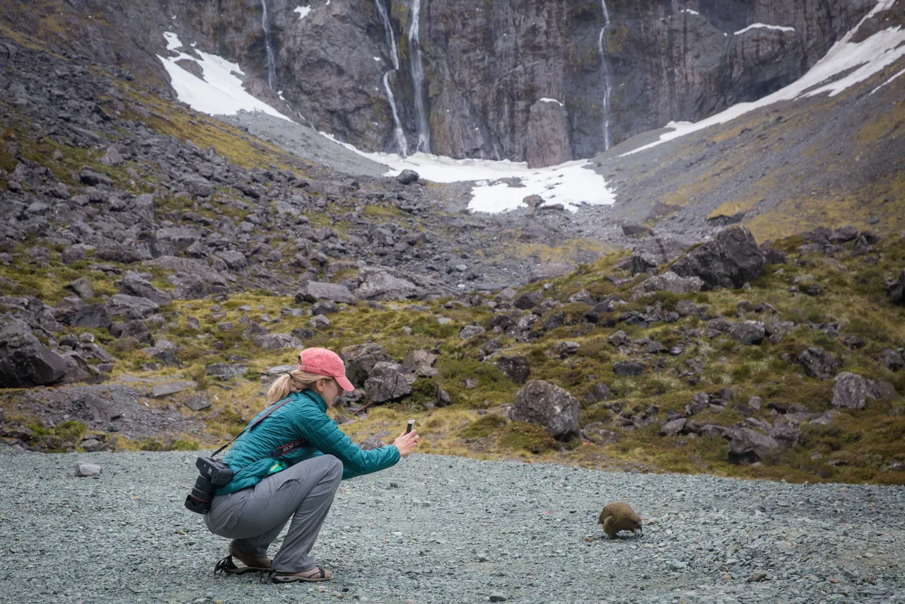 Milford Road - Southland, New Zealand - Credit Liz Carlson (15)