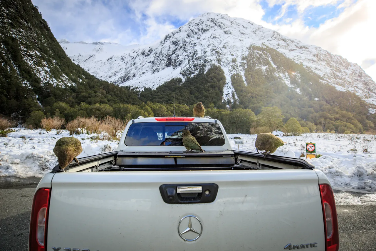 Milford Road - Southland, New Zealand - Credit Liz Carlson (6)