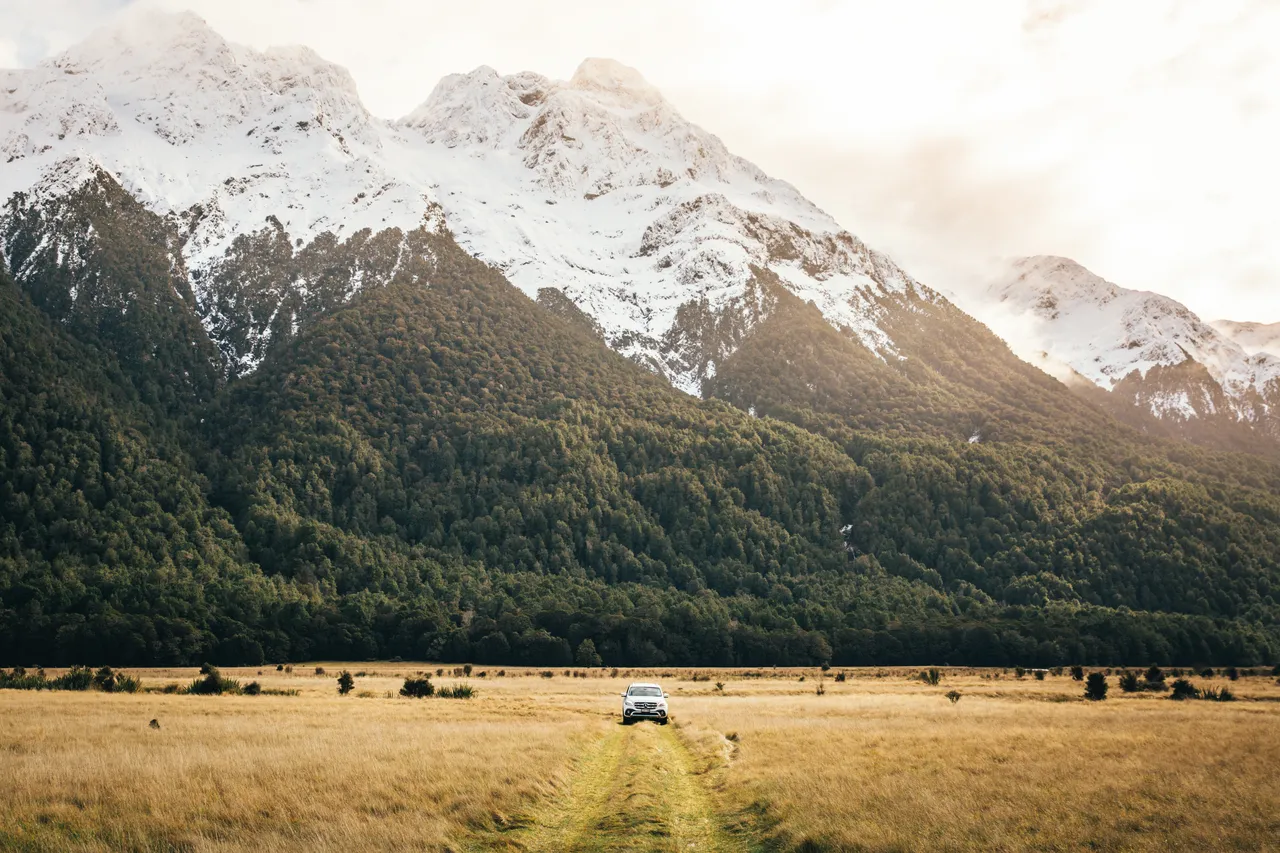 Milford Road - Southland, New Zealand - Credit Liz Carlson (1)