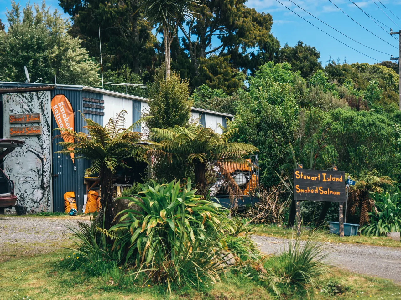Stewart Island - Southland, New Zealand - Credit Liz Carlson (81)