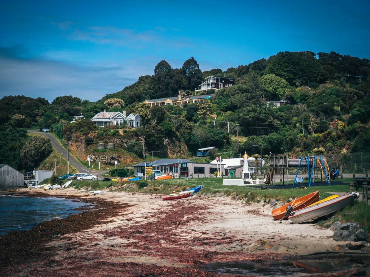 Stewart Island - Southland, New Zealand - Credit Liz Carlson (80)