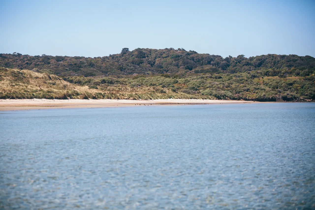 Stewart Island - Southland, New Zealand - Credit Liz Carlson (57)