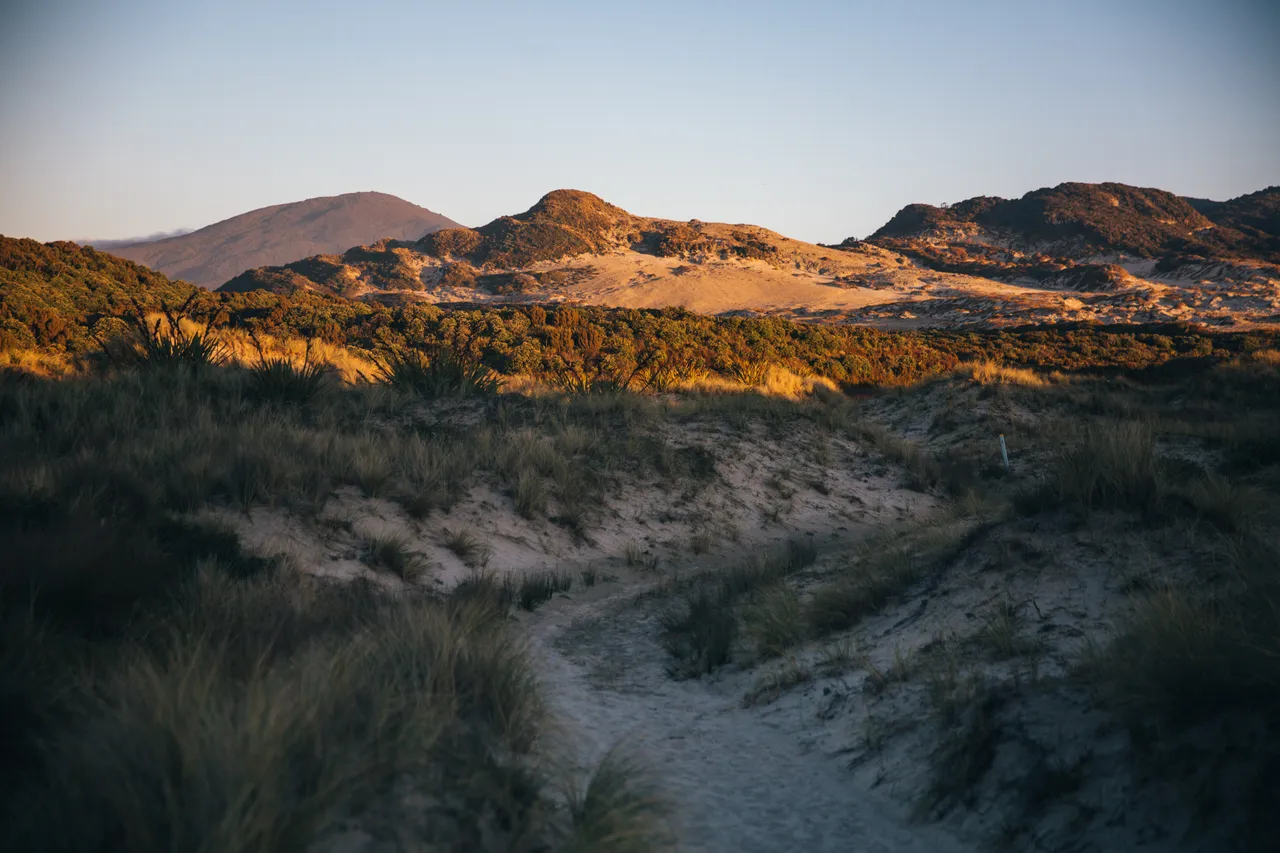 Stewart Island - Southland, New Zealand - Credit Liz Carlson (70)