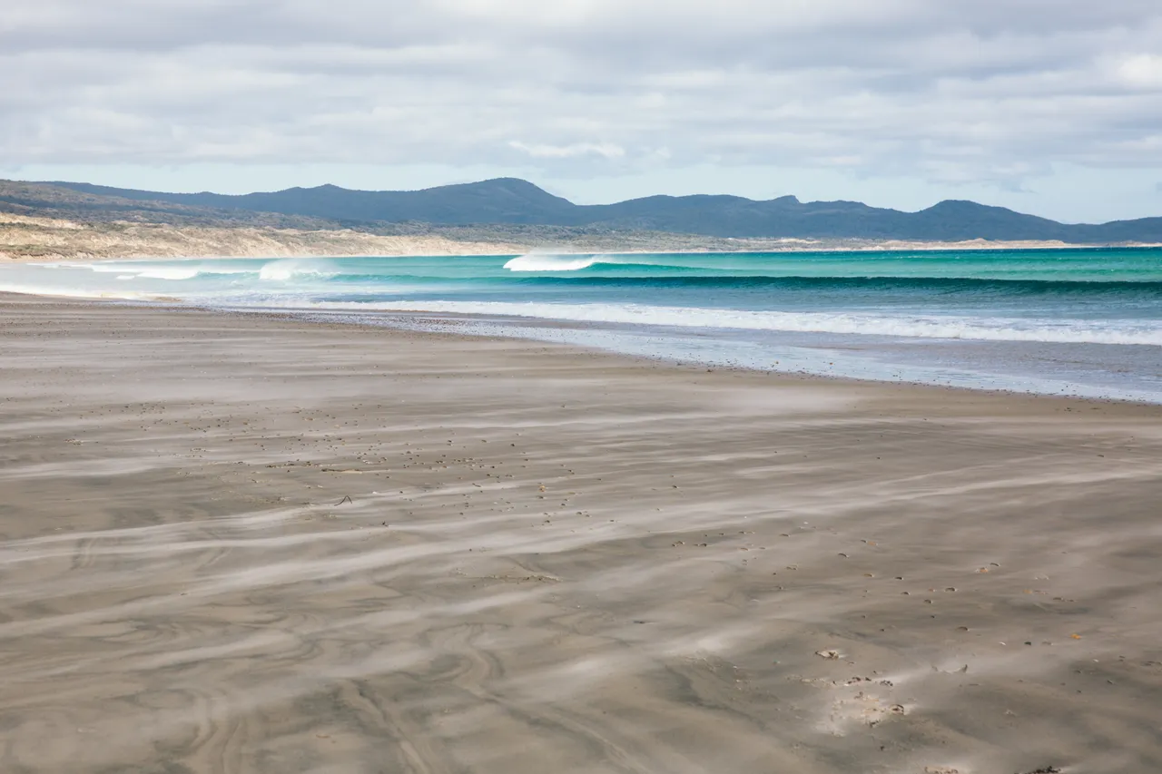 Stewart Island - Southland, New Zealand - Credit Liz Carlson (6)