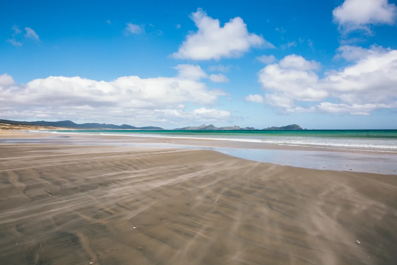 Stewart Island - Southland, New Zealand - Credit Liz Carlson (7)