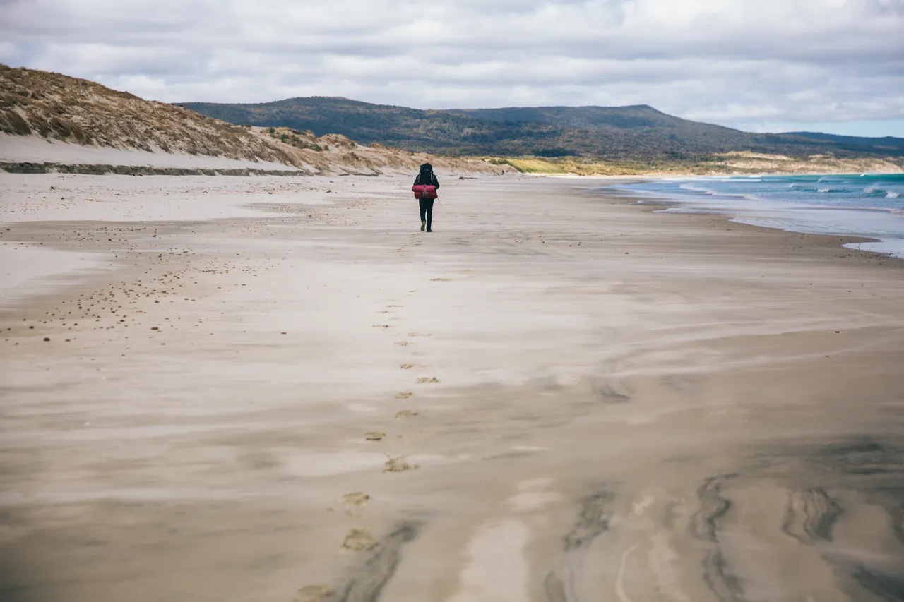 Stewart Island - Southland, New Zealand - Credit Liz Carlson (5)