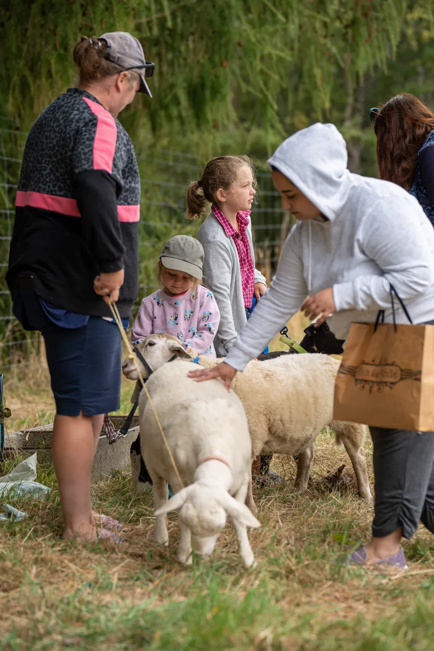 Southland A&P Show - Southland, New Zealand - Credit Great South (27)