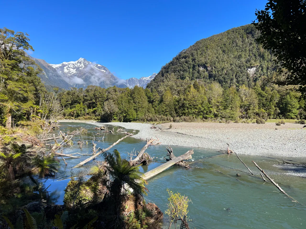 Hollyford Track - Southland, New Zealand - Credit Great South (12)