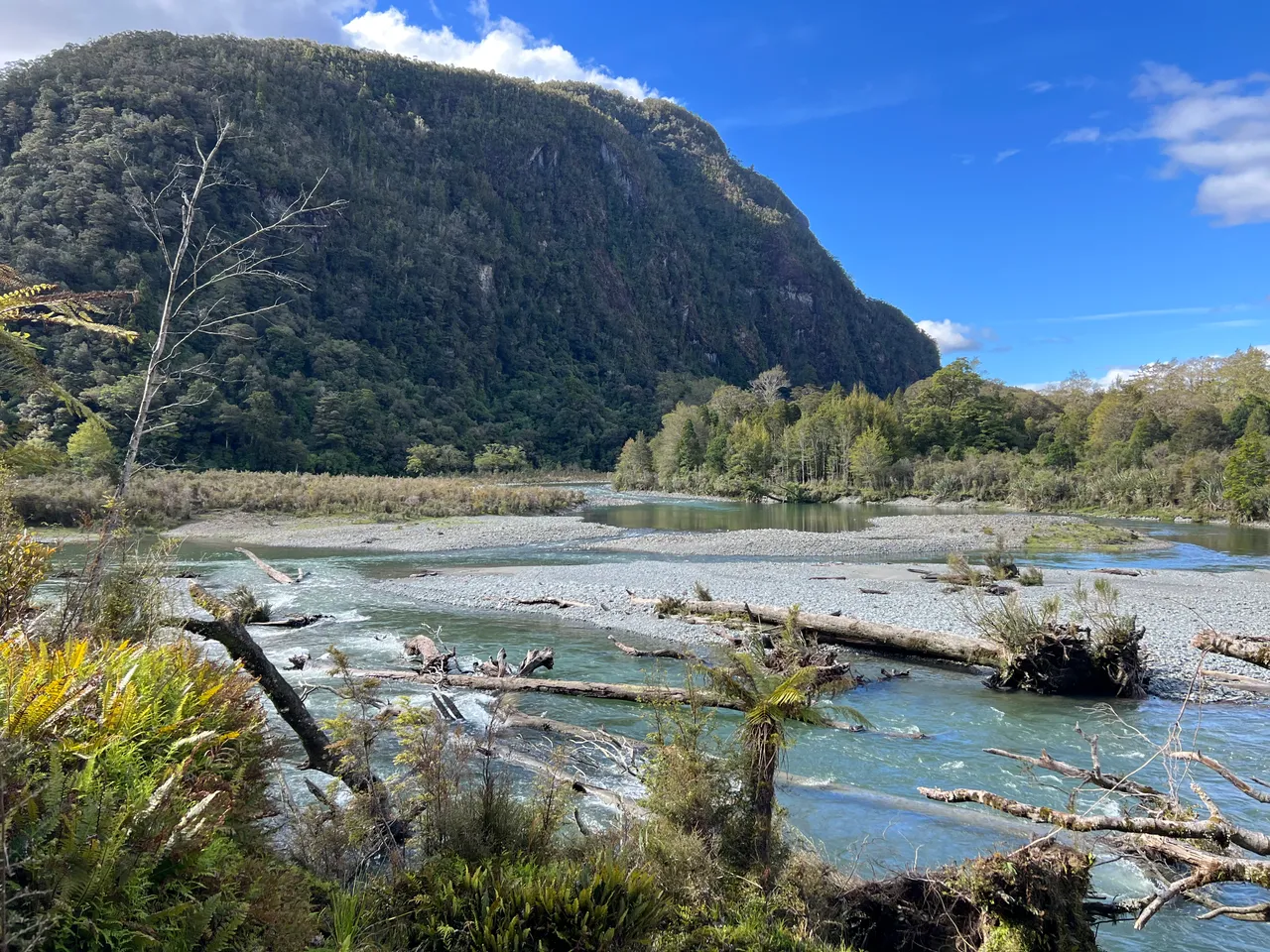 Hollyford Track - Southland, New Zealand - Credit Great South (14)