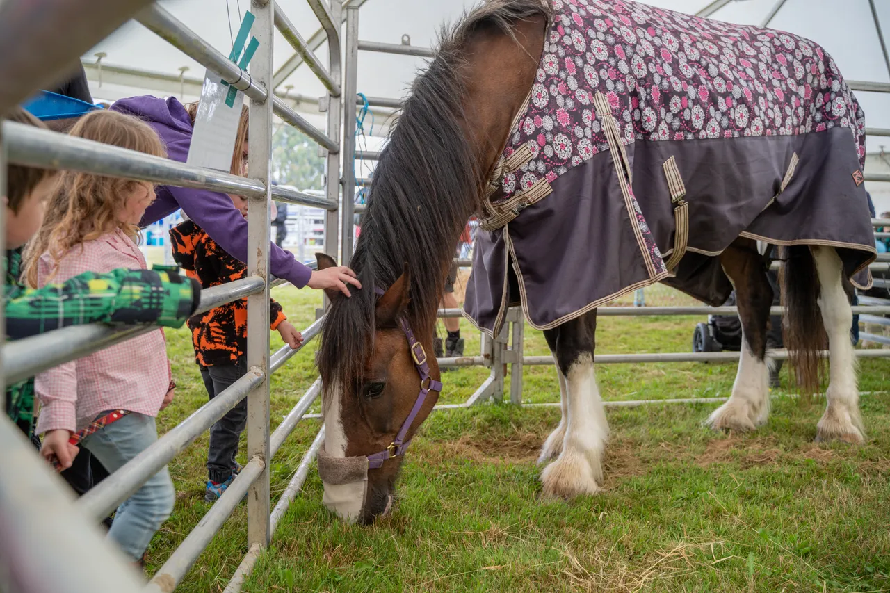 Southland A&P Show - Southland, New Zealand - Credit Great South (16)