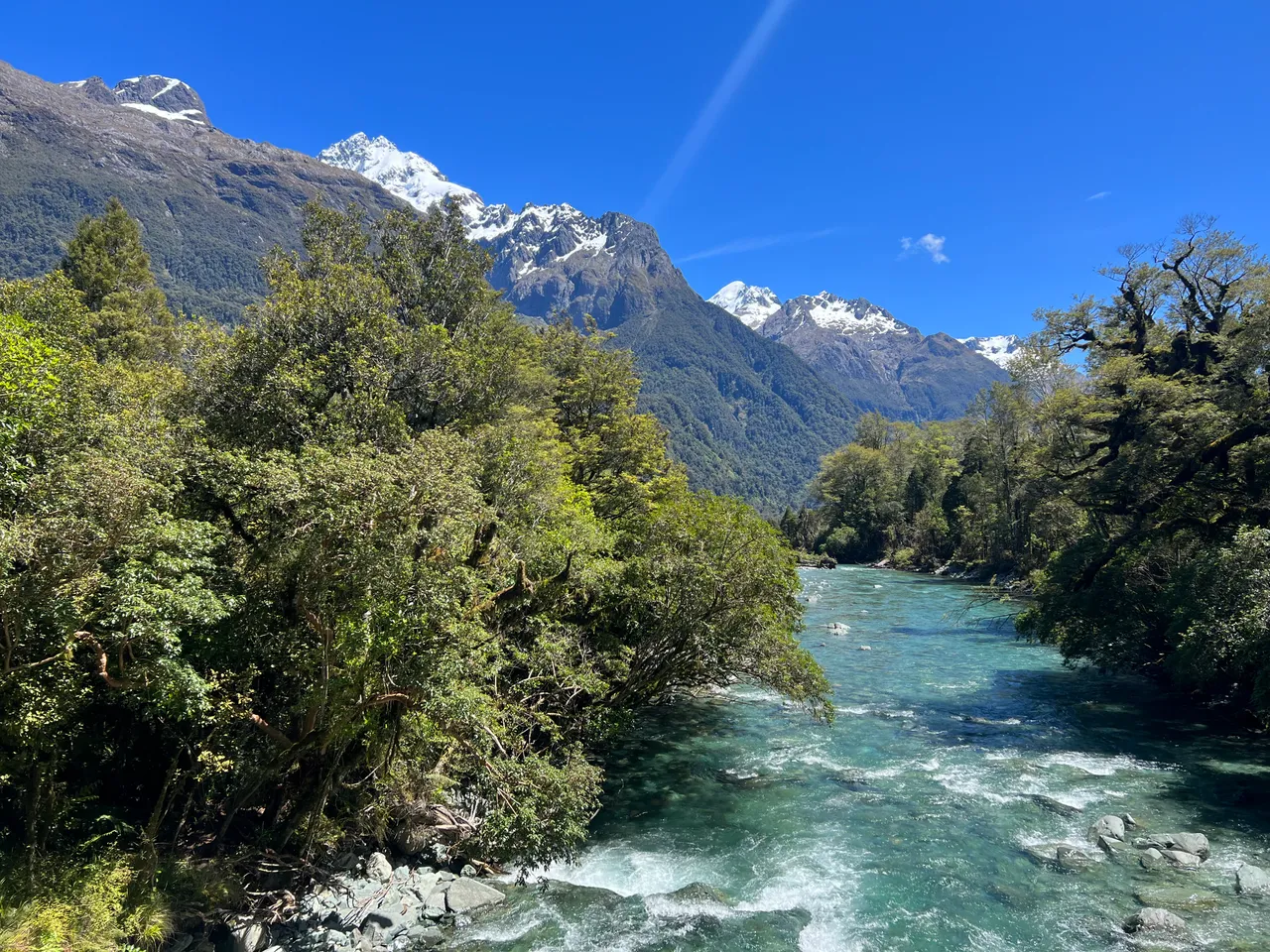 Hollyford Track - Southland, New Zealand - Credit Great South (8)