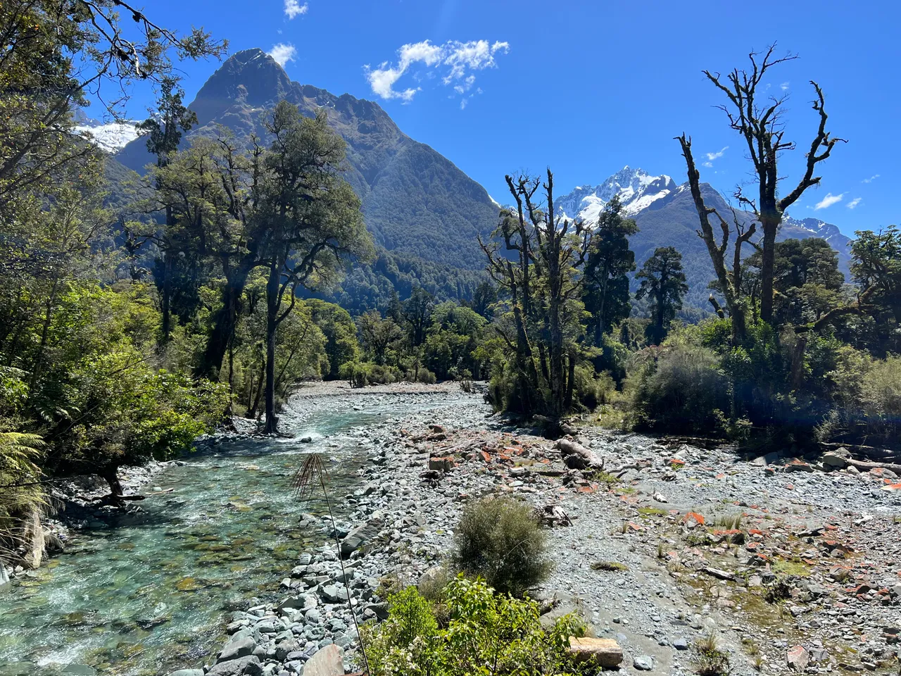 Hollyford Track - Southland, New Zealand - Credit Great South (6)