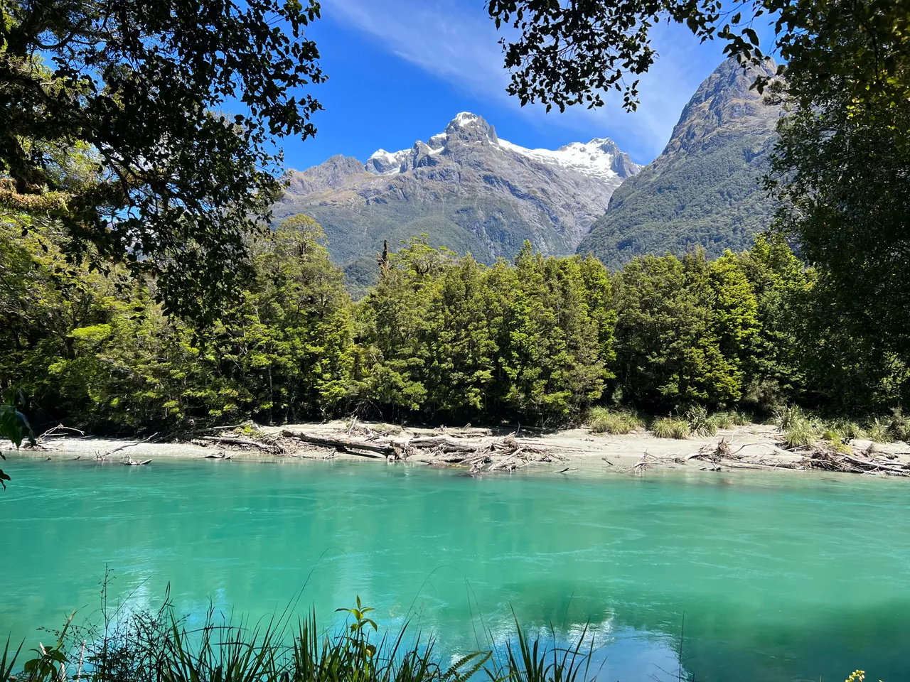 Hollyford Track - Southland, New Zealand - Credit Great South (5)
