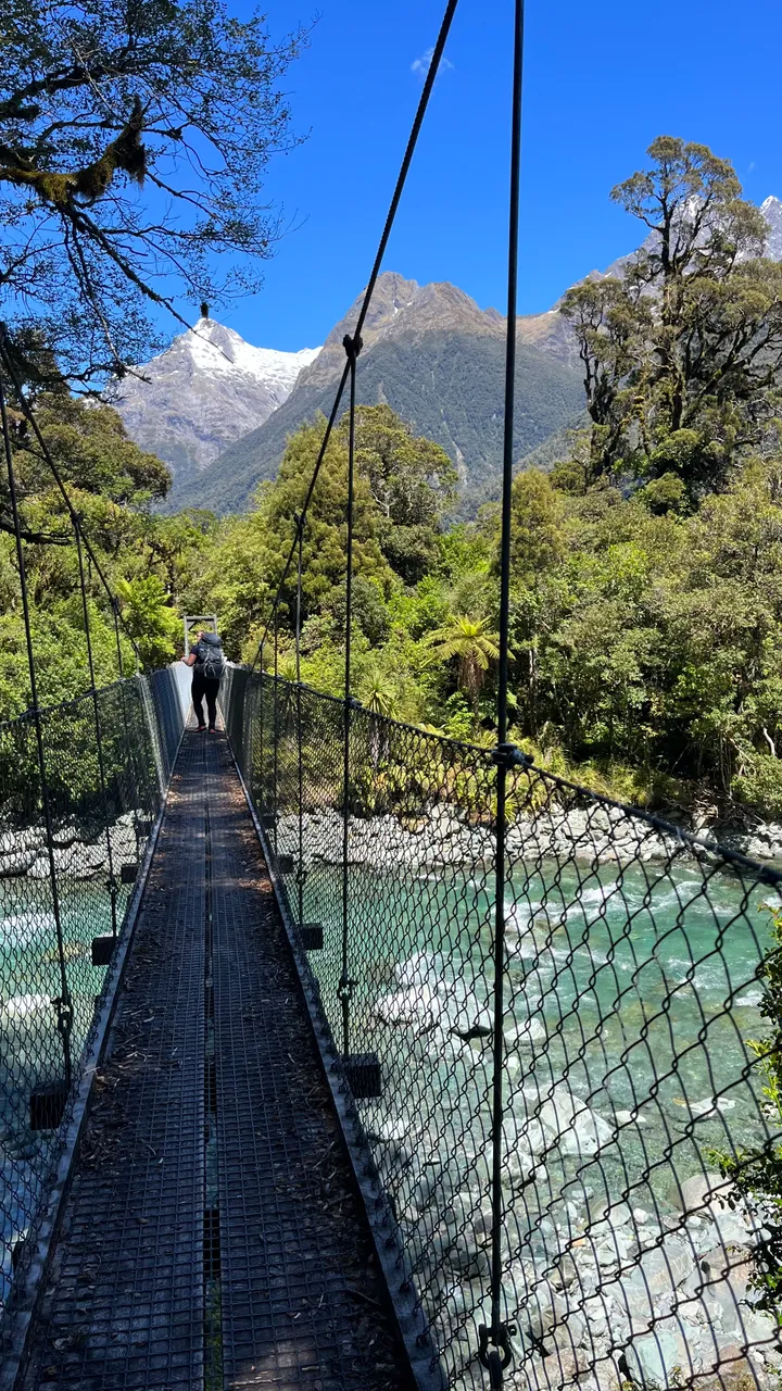 Hollyford Track - Southland, New Zealand - Credit Great South (3)