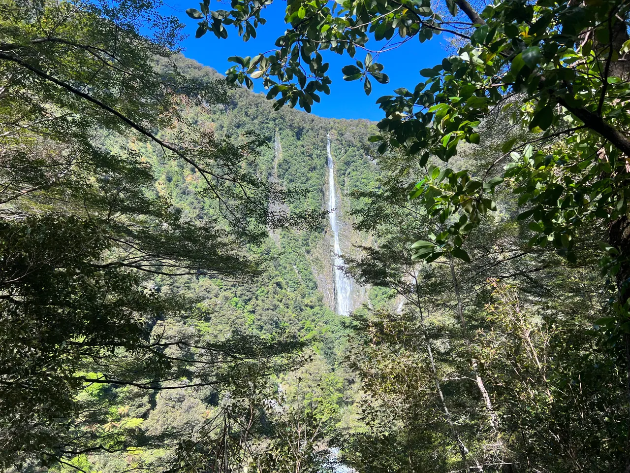 Hollyford Track - Southland, New Zealand - Credit Great South (4)