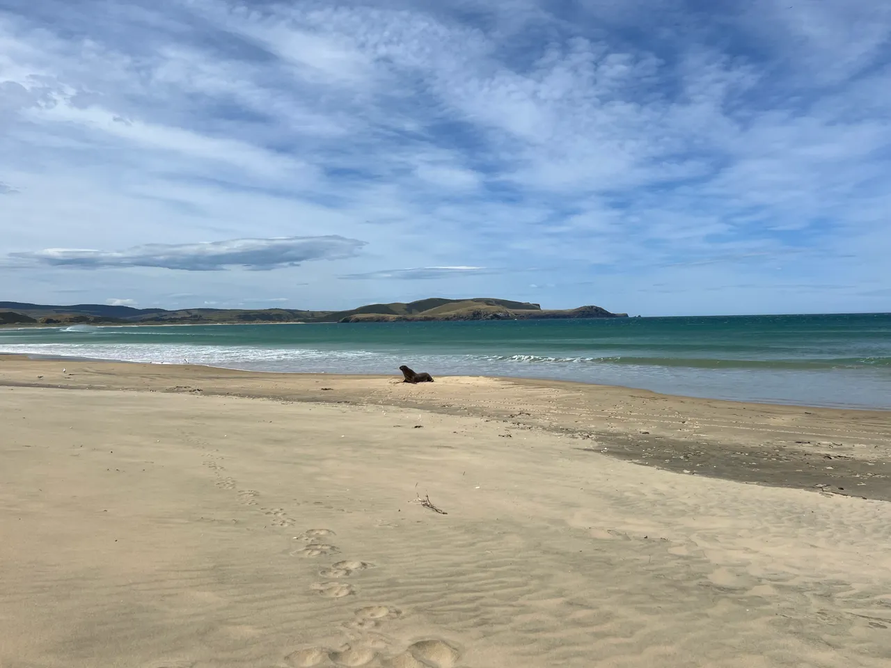 Porpoise Bay, The Catlins - Southland, New Zealand - Credit Great South (1)
