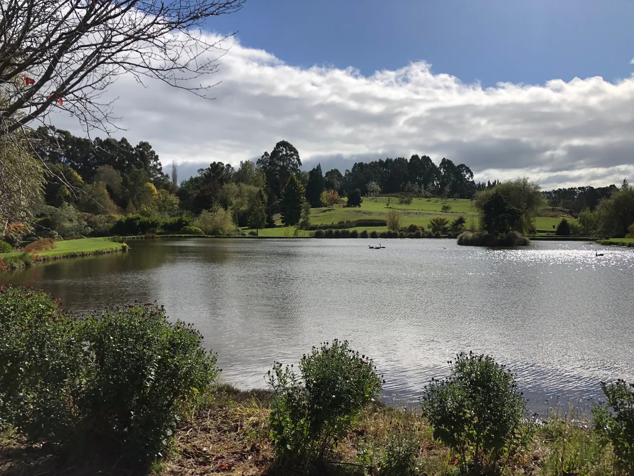 Maple Glen - Southland, New Zealand - Credit Great South (4)