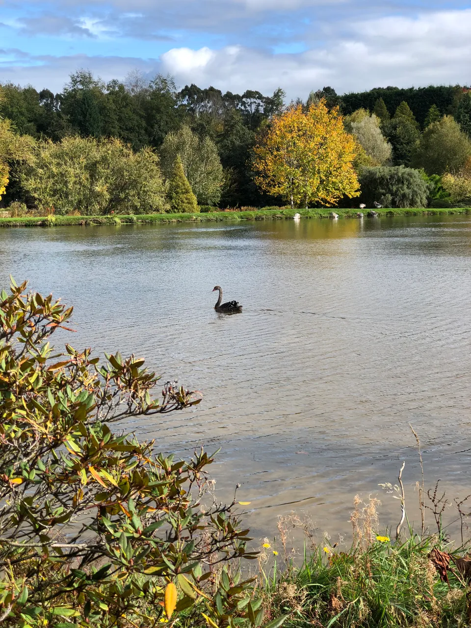 Maple Glen - Southland, New Zealand - Credit Great South (6)
