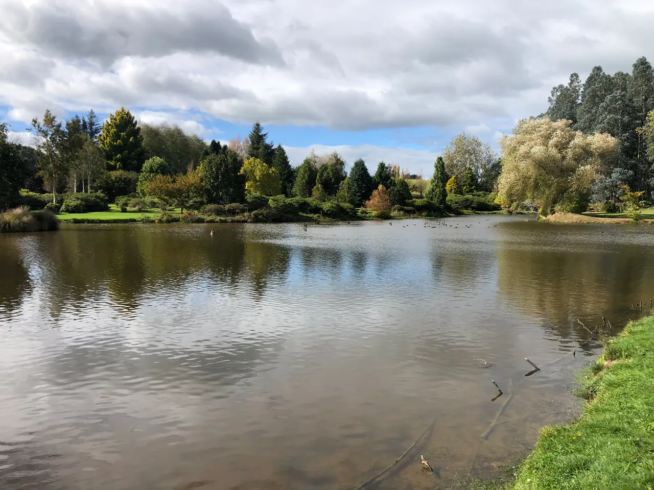Maple Glen - Southland, New Zealand - Credit Great South (2)