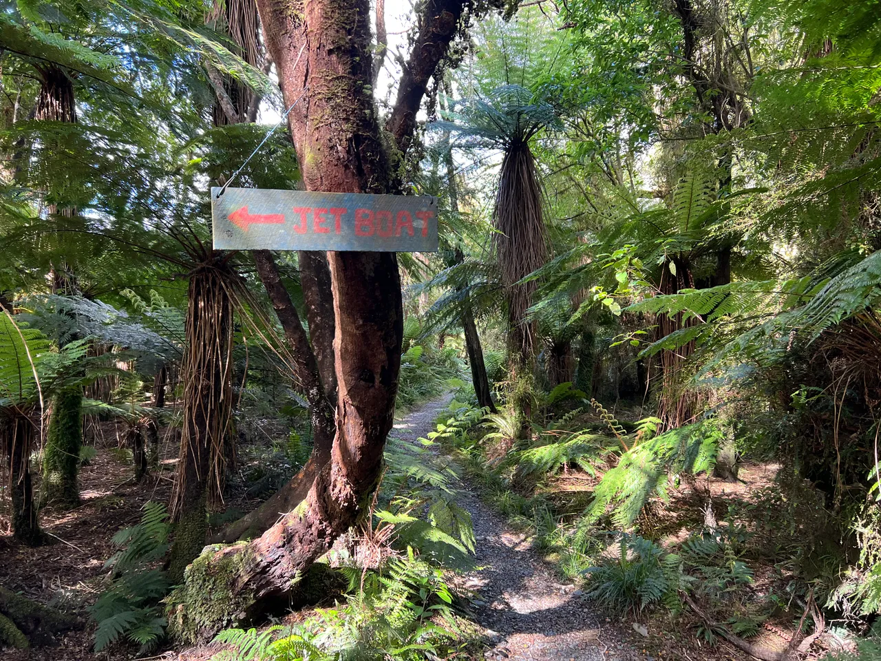 Hollyford Track - Southland, New Zealand - Credit Great South (15)