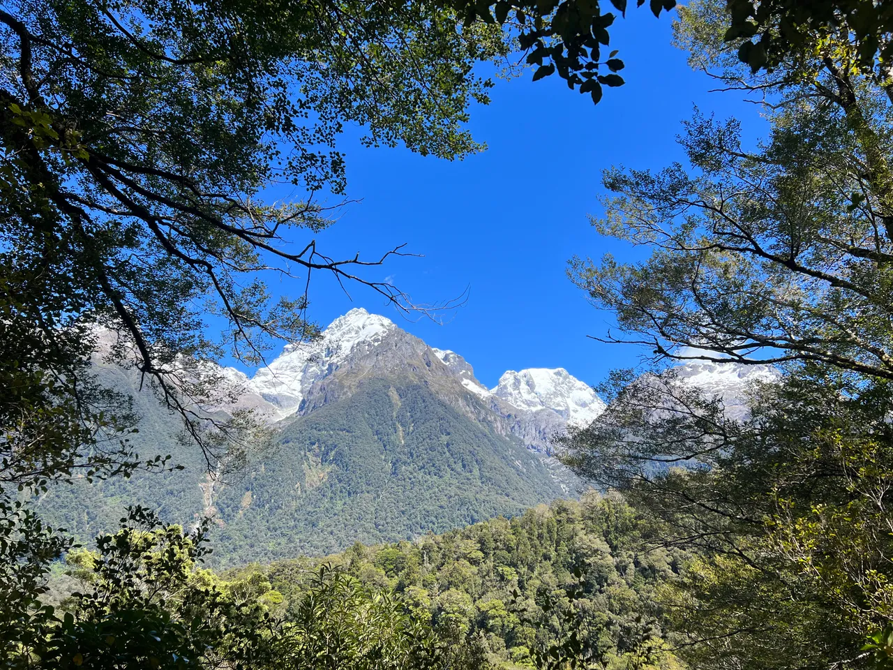 Hollyford Track - Southland, New Zealand - Credit Great South (9)