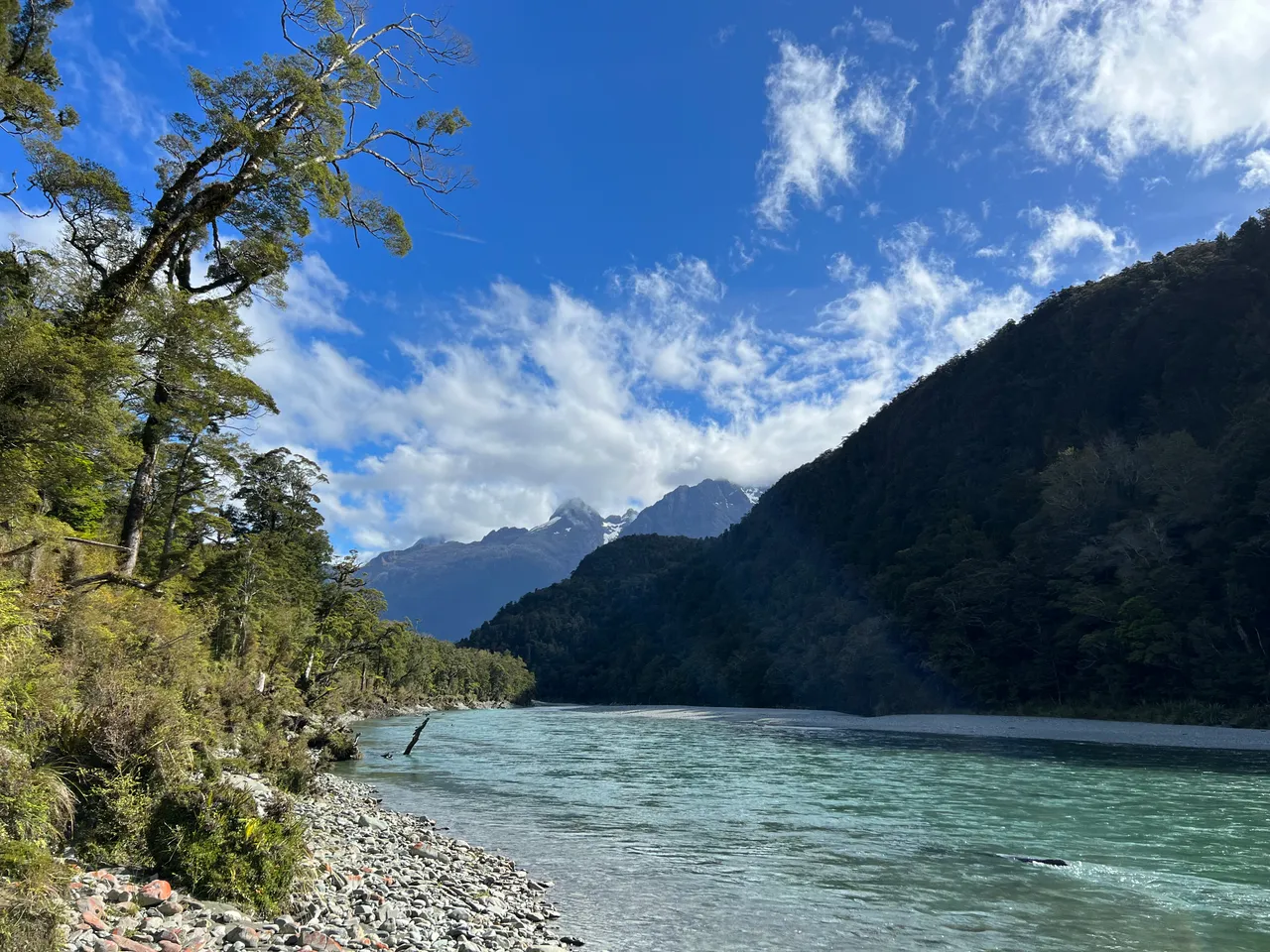Hollyford Track - Southland, New Zealand - Credit Great South (16)