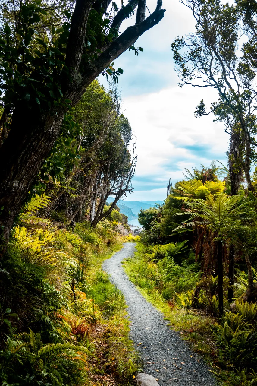 Rakiura Challenge 2024 - Southland, New Zealand - Credit Morgan Shepherd (5)