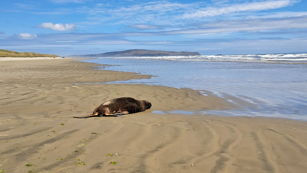 Oreti Beach - Southland, New Zealand - Credit Great South (2)
