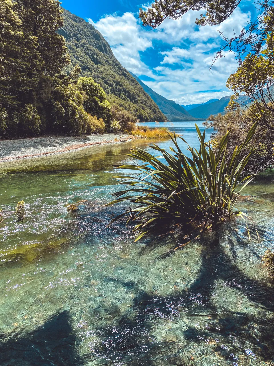 Lake Gunn Nature Walk - Southland, New Zealand - Credit Great South (2)