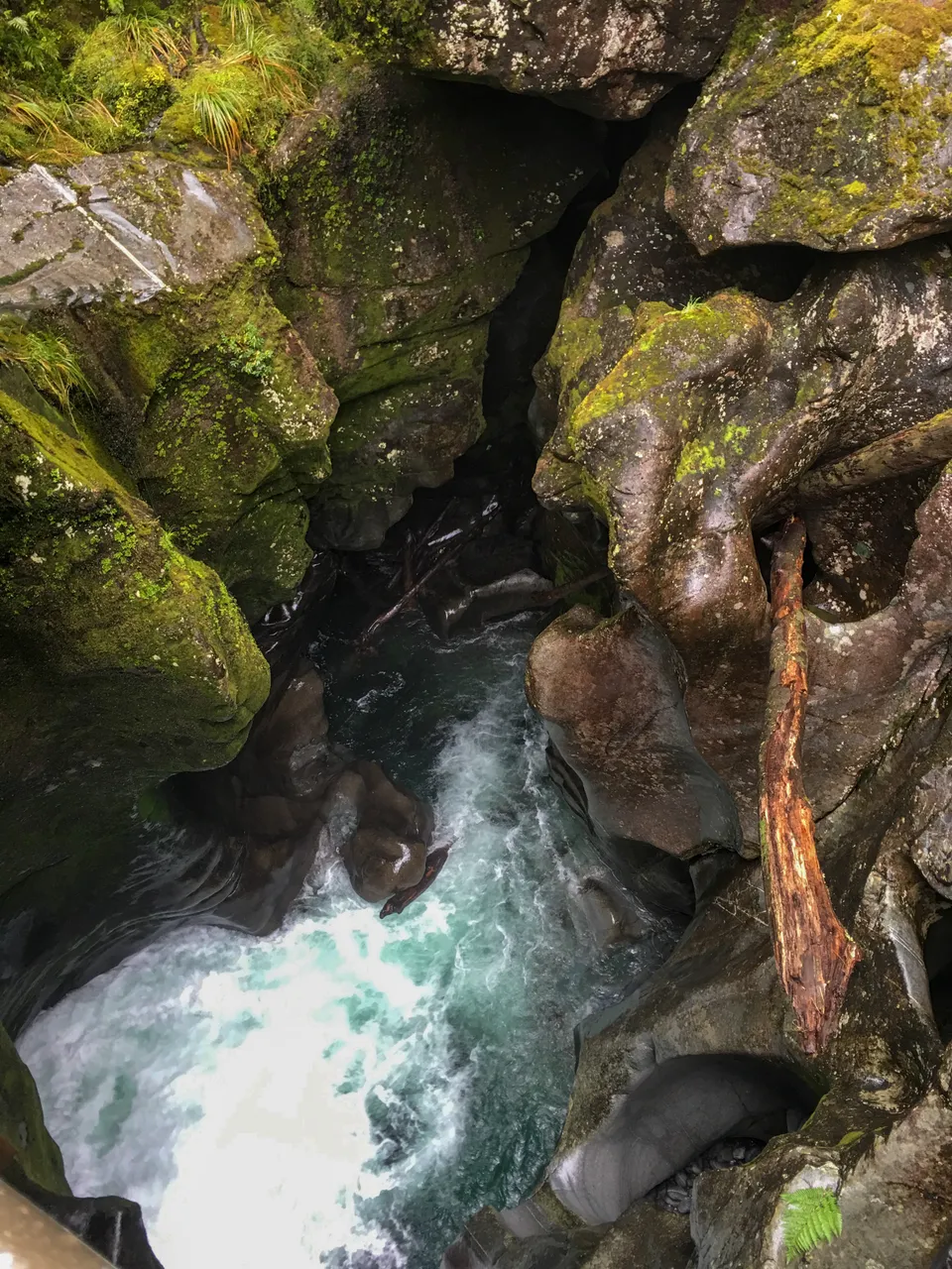 The Chasm - Southland, New Zealand - Credit Great South (1)