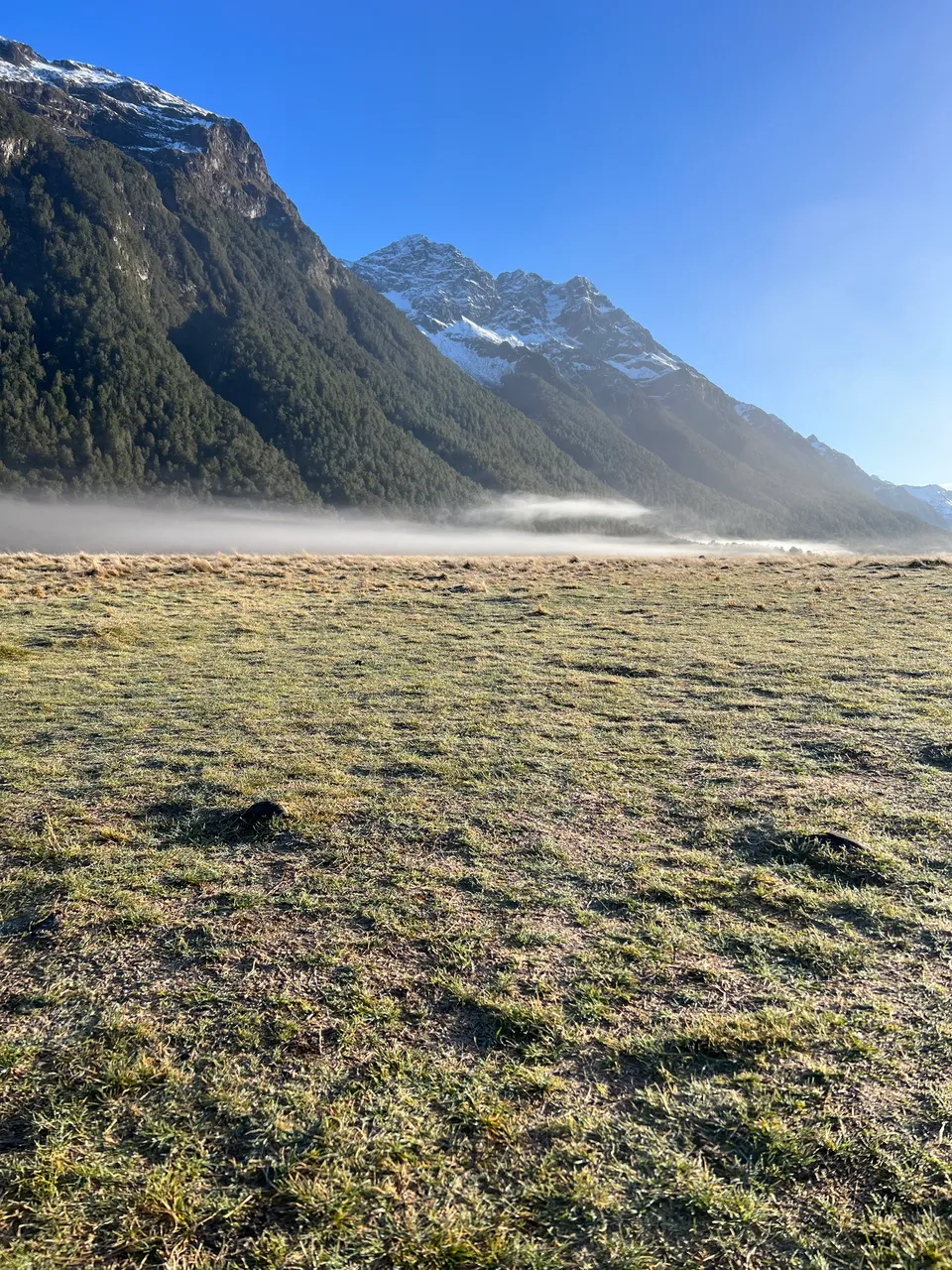 Eglinton Valley, Fiordland - Southland, New Zealand - Credit Great South (8)