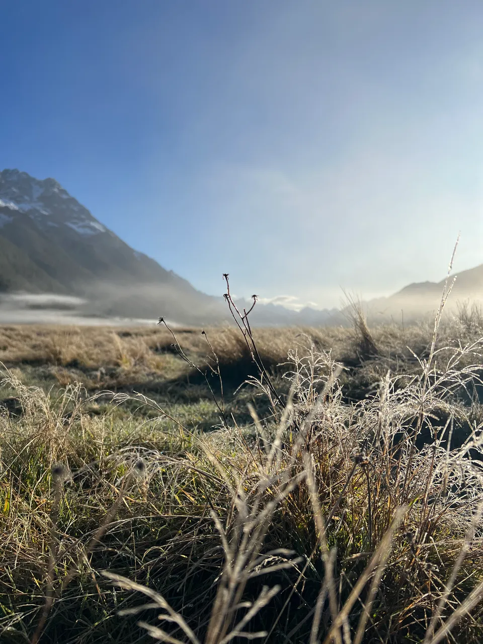 Eglinton Valley, Fiordland - Southland, New Zealand - Credit Great South (5)