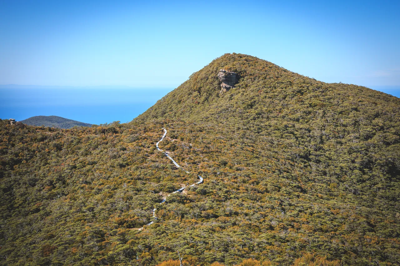 Hump Ridge Track - Southland, New Zealand - Credit Liz Carlson (177)