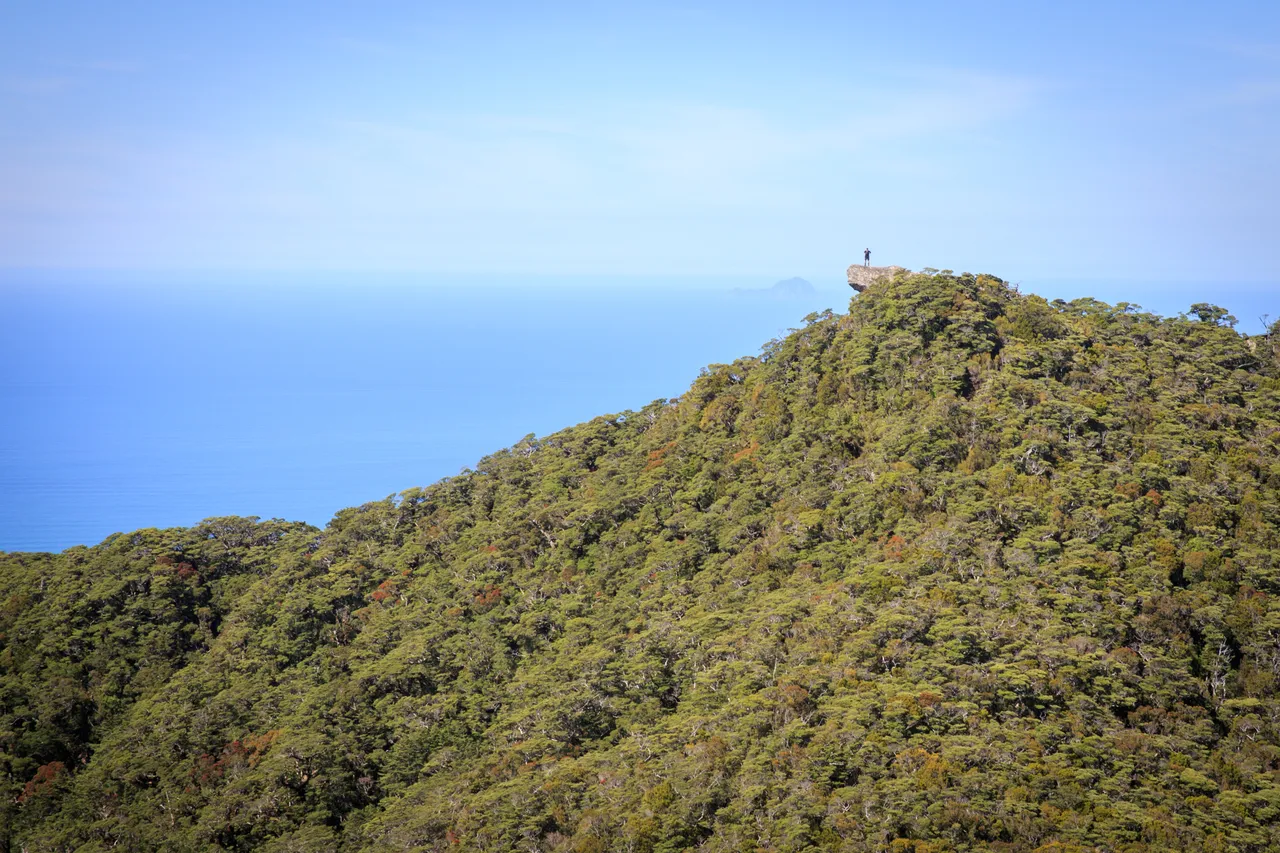 Hump Ridge Track - Southland, New Zealand - Credit Liz Carlson (178)