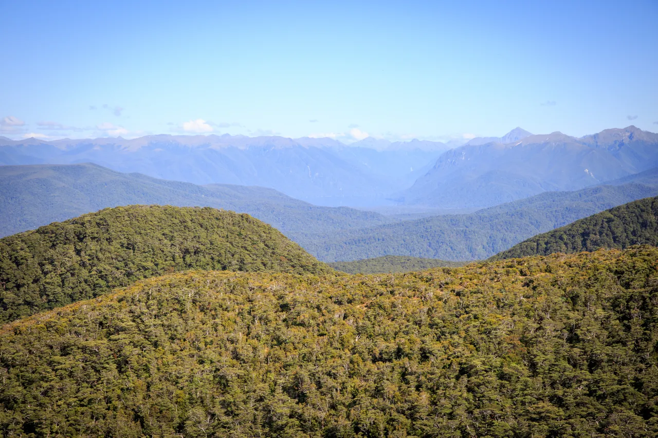 Hump Ridge Track - Southland, New Zealand - Credit Liz Carlson (176)