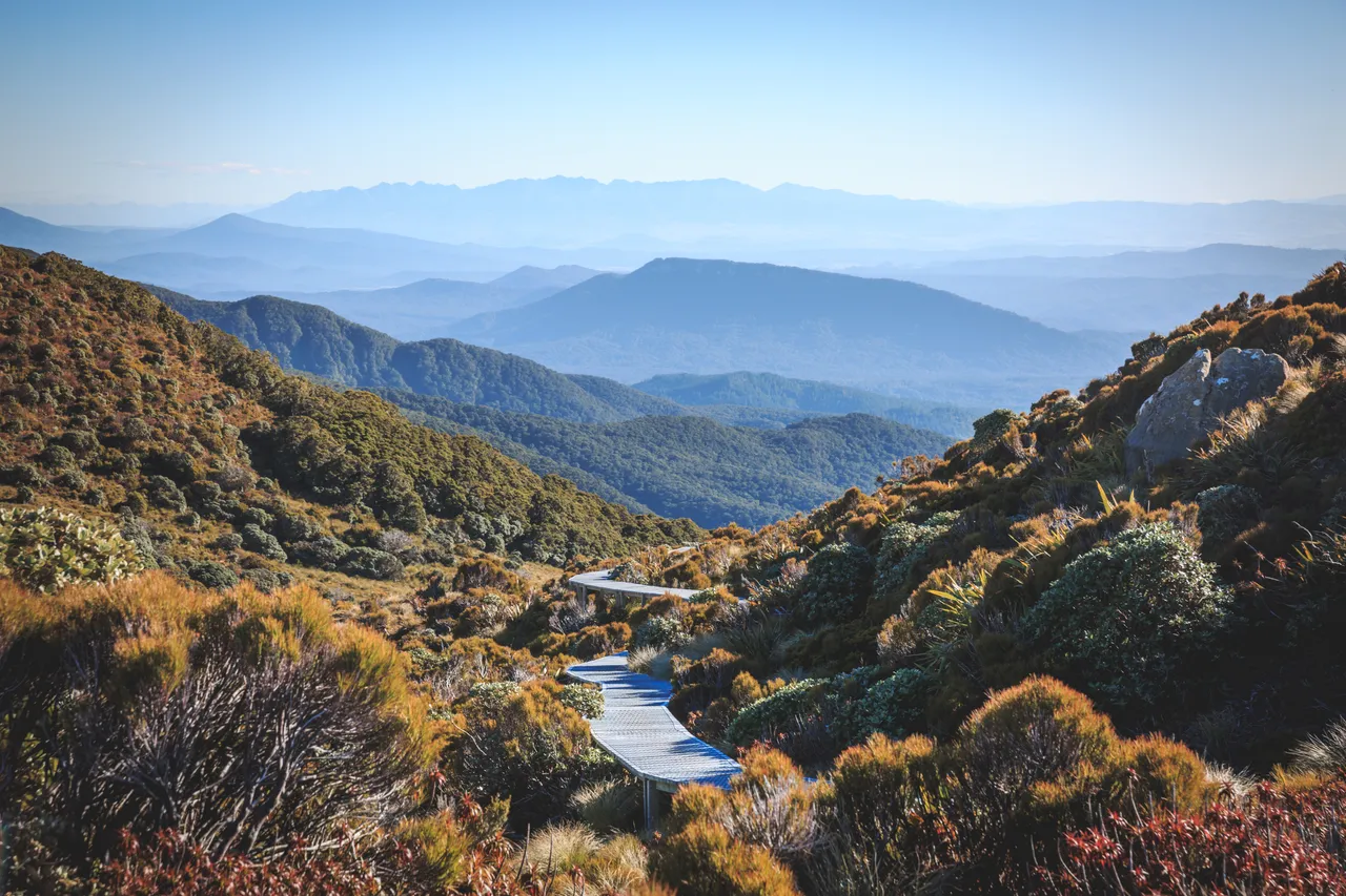 Hump Ridge Track - Southland, New Zealand - Credit Liz Carlson (169)
