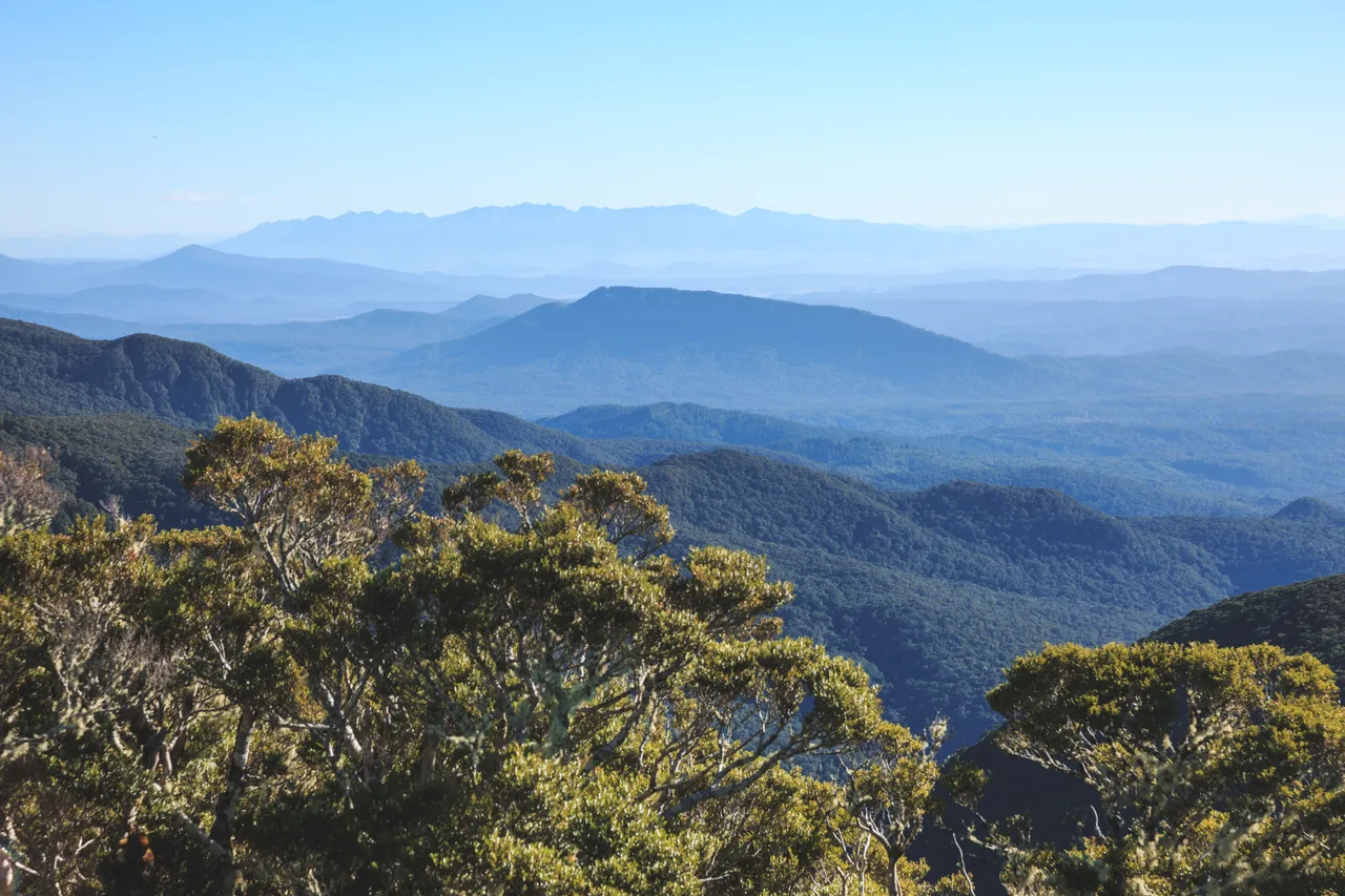 Hump Ridge Track - Southland, New Zealand - Credit Liz Carlson (172)