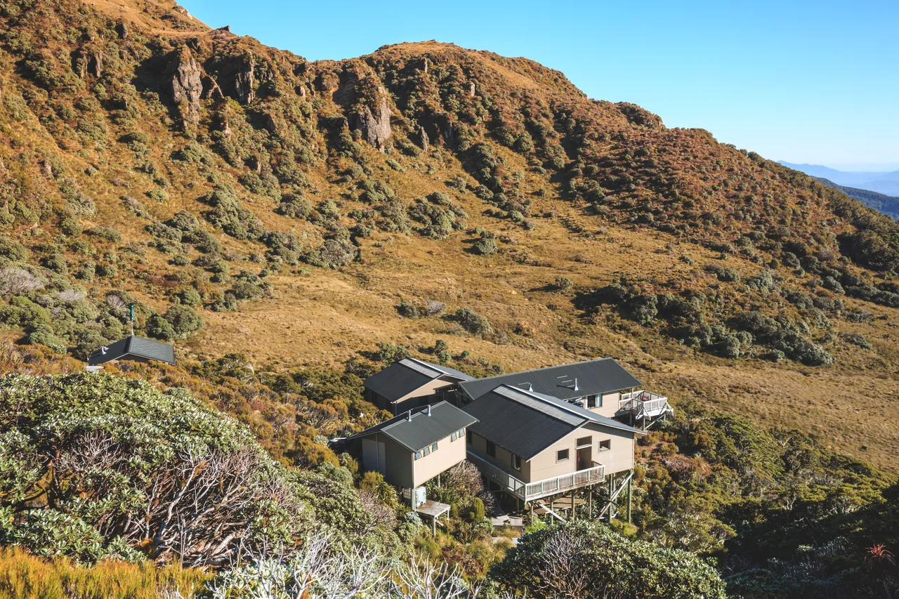 Hump Ridge Track - Southland, New Zealand - Credit Liz Carlson (168)