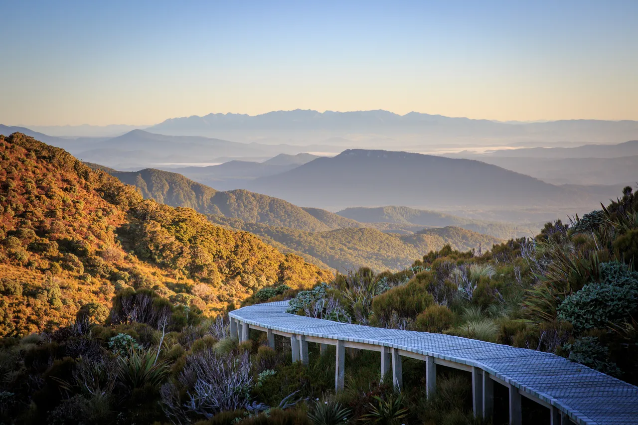 Hump Ridge Track - Southland, New Zealand - Credit Liz Carlson (164)