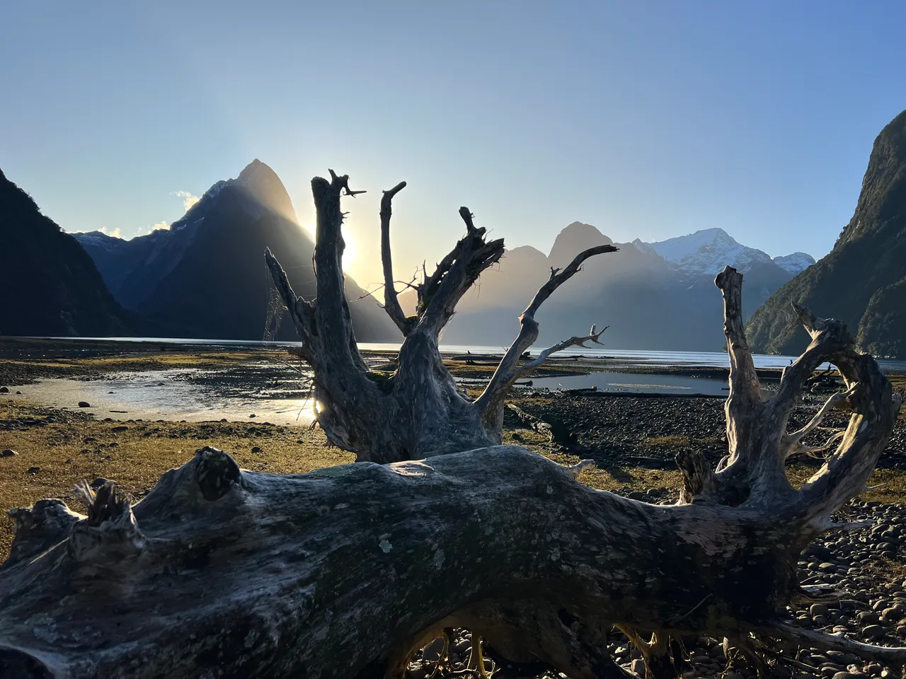 Milford Sound, Fiordland - Southland, New Zealand - Credit Great South (13)
