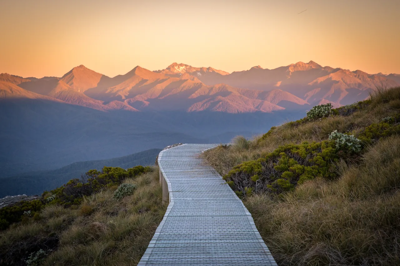 Hump Ridge Track - Southland, New Zealand - Credit Liz Carlson (157)