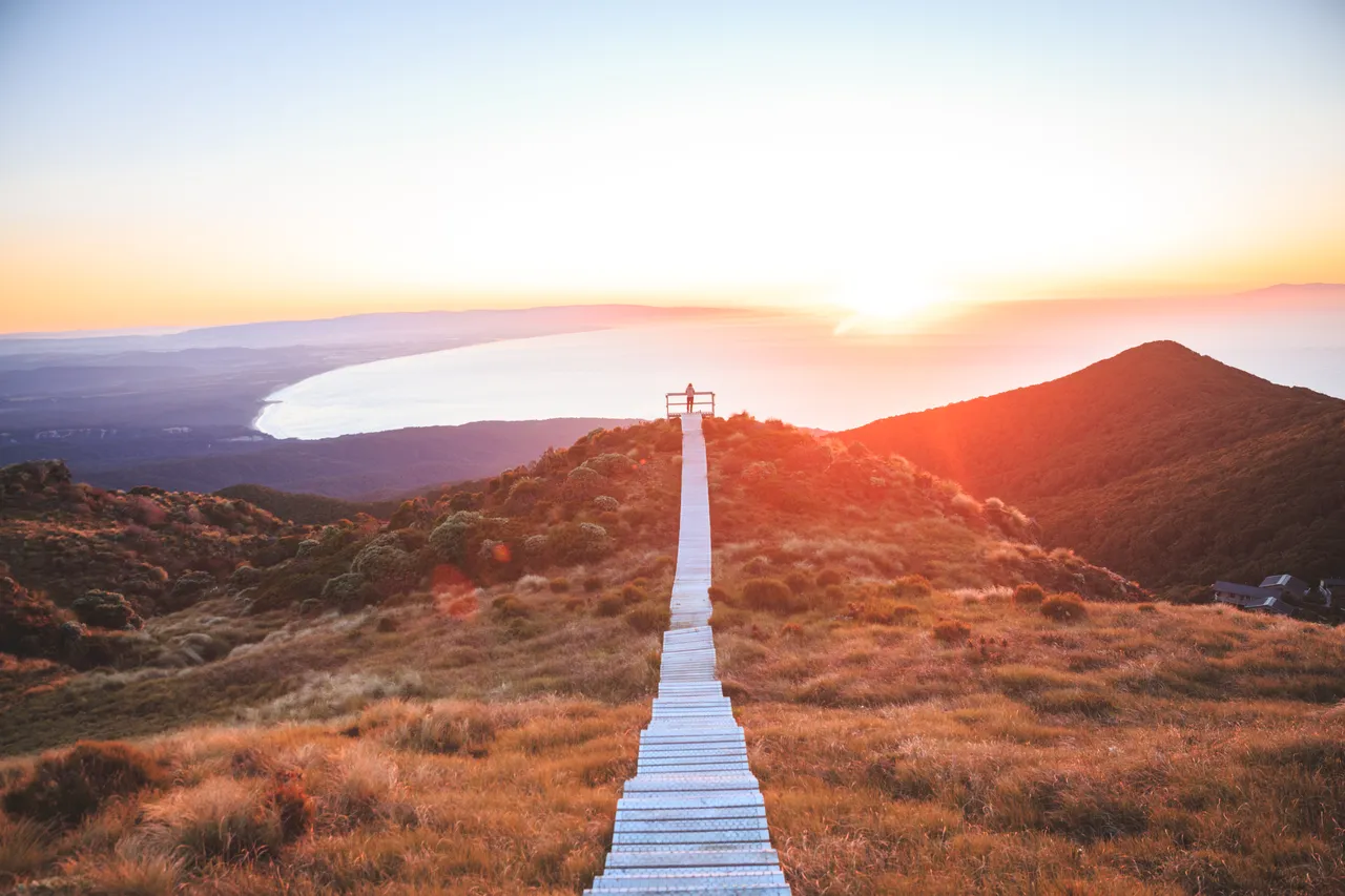 Hump Ridge Track - Southland, New Zealand - Credit Liz Carlson (141)