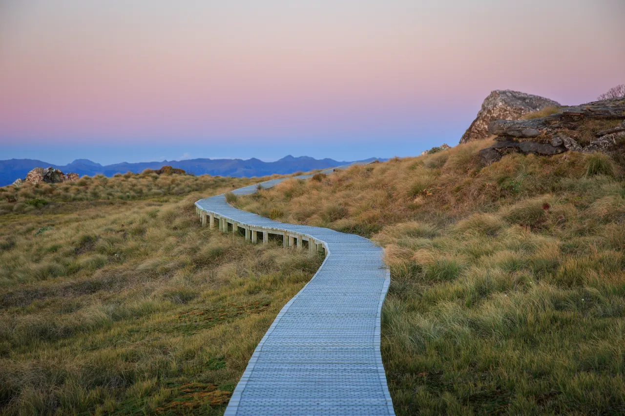 Hump Ridge Track - Southland, New Zealand - Credit Liz Carlson (139)