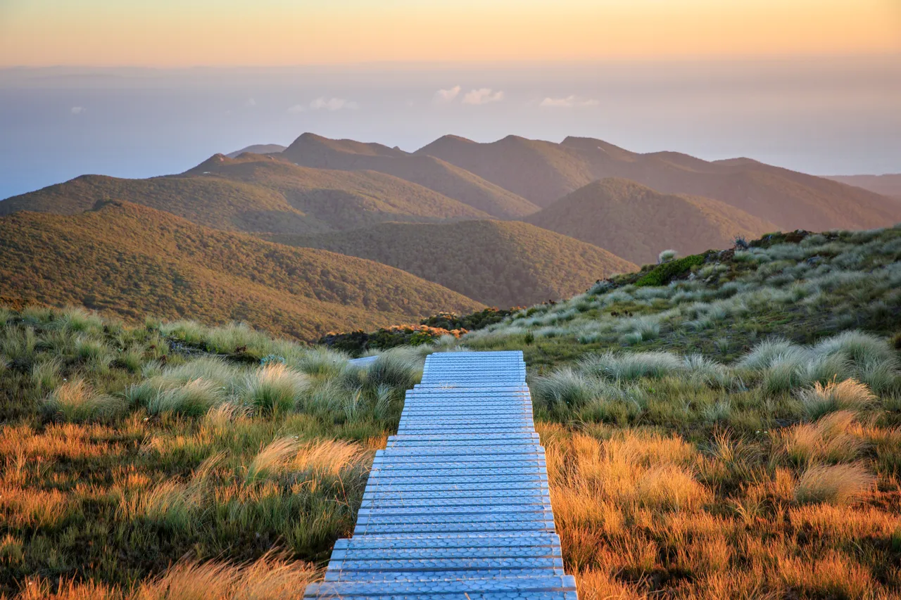 Hump Ridge Track - Southland, New Zealand - Credit Liz Carlson (115)