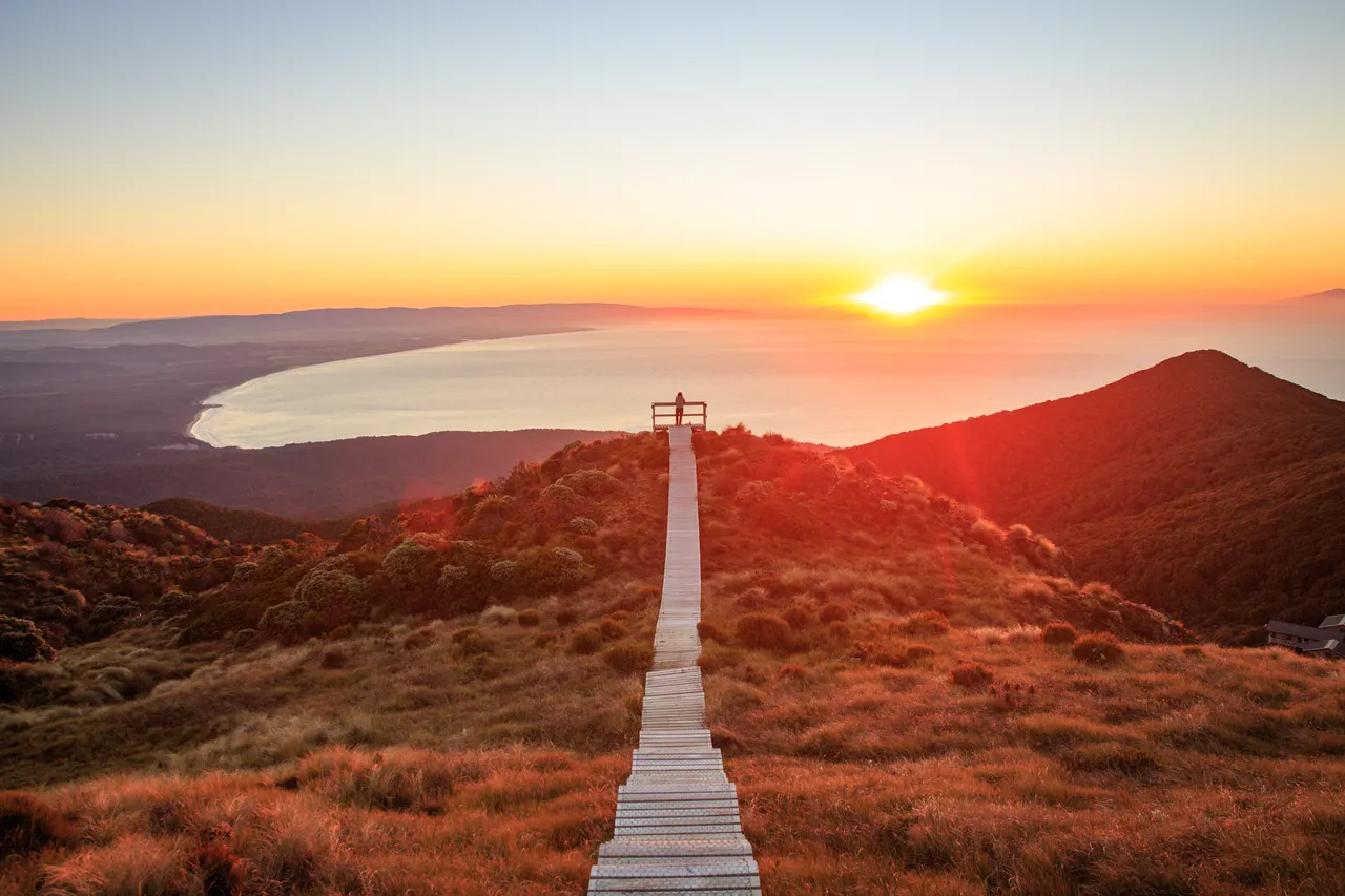 Hump Ridge Track - Southland, New Zealand - Credit Liz Carlson (142)